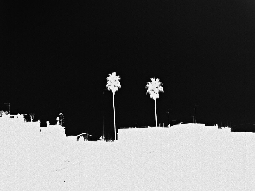 Palme