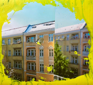 Meise im Spiegel
